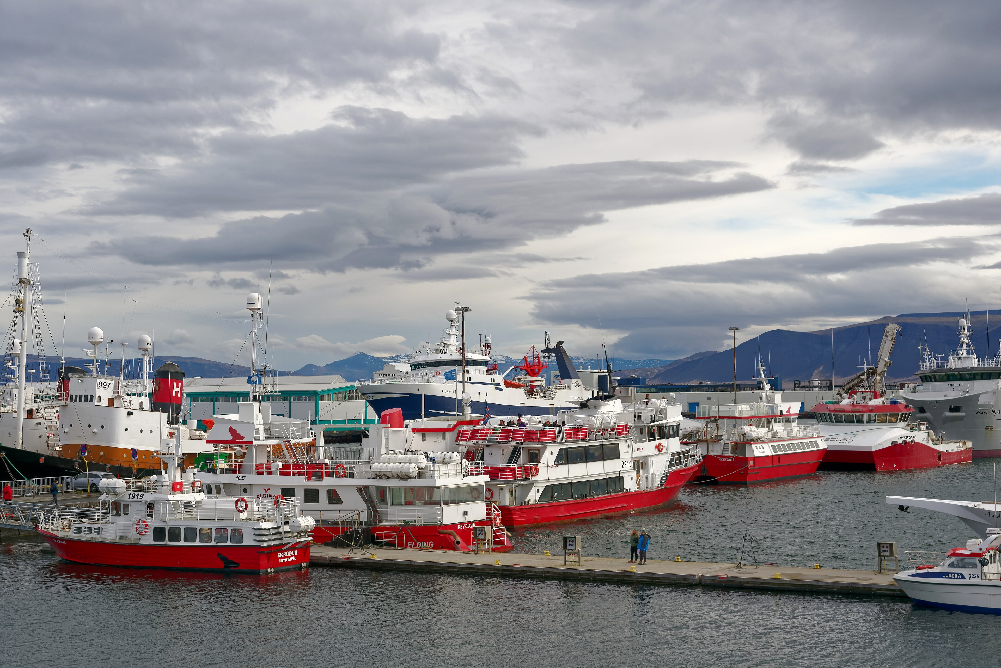 Fishing boats and warehouses along Reykjavík harbour with the city behind
